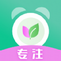 生命时间规划 V1.1.1