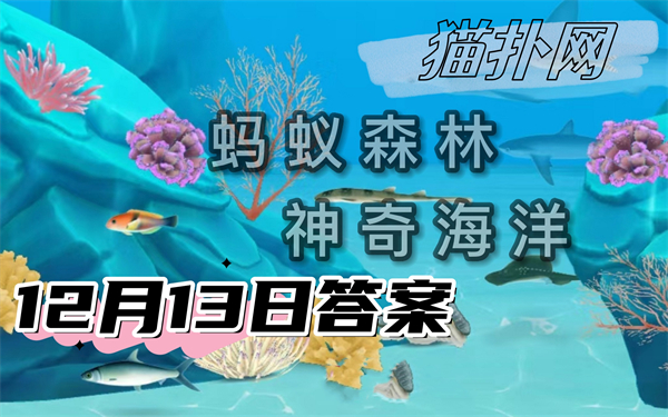 蚂蚁森林神奇海洋12月13日答案2024-在我国以下哪种蟹属于外来物种