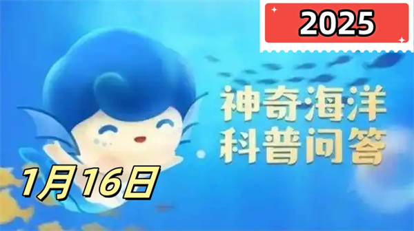 神奇海洋1月16日答案2025-猜一猜海狗与以下哪种动物的亲缘关系更近