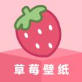 草莓壁纸 v1.7.0